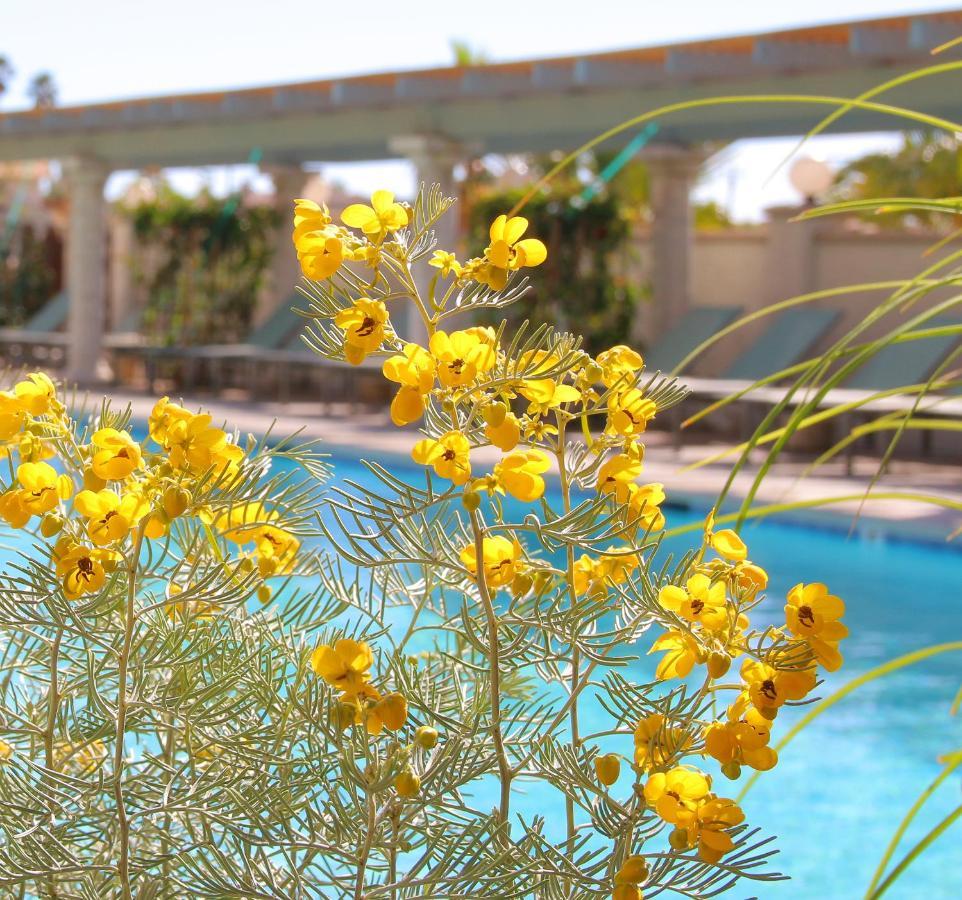 Resort Azure Palm Hot Springs Desert Hot Springs